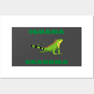 Iguana grandma funny Posters and Art